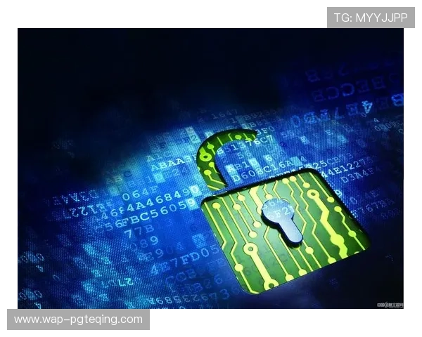 君临PG官网入口全面解析，提供最全的登录方式与账号安全保障措施