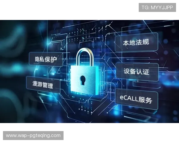 详解pg平台官方网站的安全保障措施与用户隐私保护策略