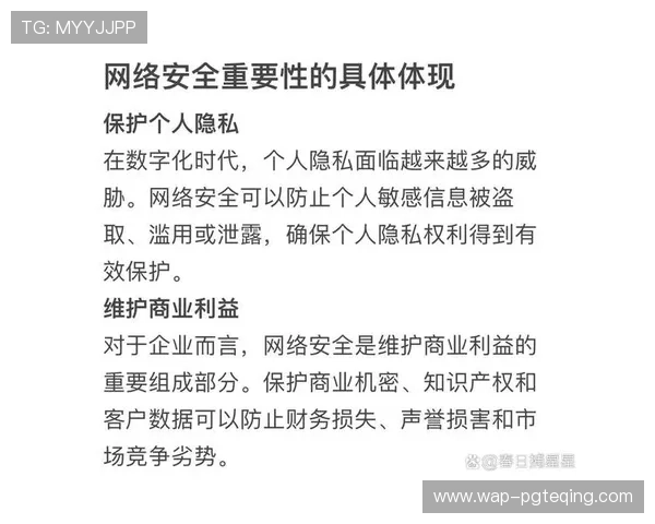 PG娱乐游戏试玩平台安全性分析，保障玩家个人信息与资金安全的实用指南